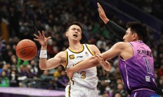 九游官方-辽宁队主场不敌京城，遭遇失利