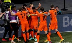 九游官方入口-荷兰逼平乌克兰，出线形势严峻的简单介绍