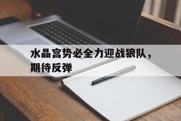 九游体育官方登录入口-水晶宫势必全力迎战狼队，期待反弹