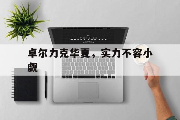 九游体育app-包含卓尔力克华夏，实力不容小觑的词条